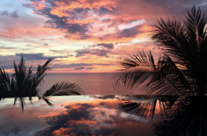 Sunset in Costa Rica with palm trees in frame, the sky is painted different shades of blue, pink, orange, yellow, and purple.